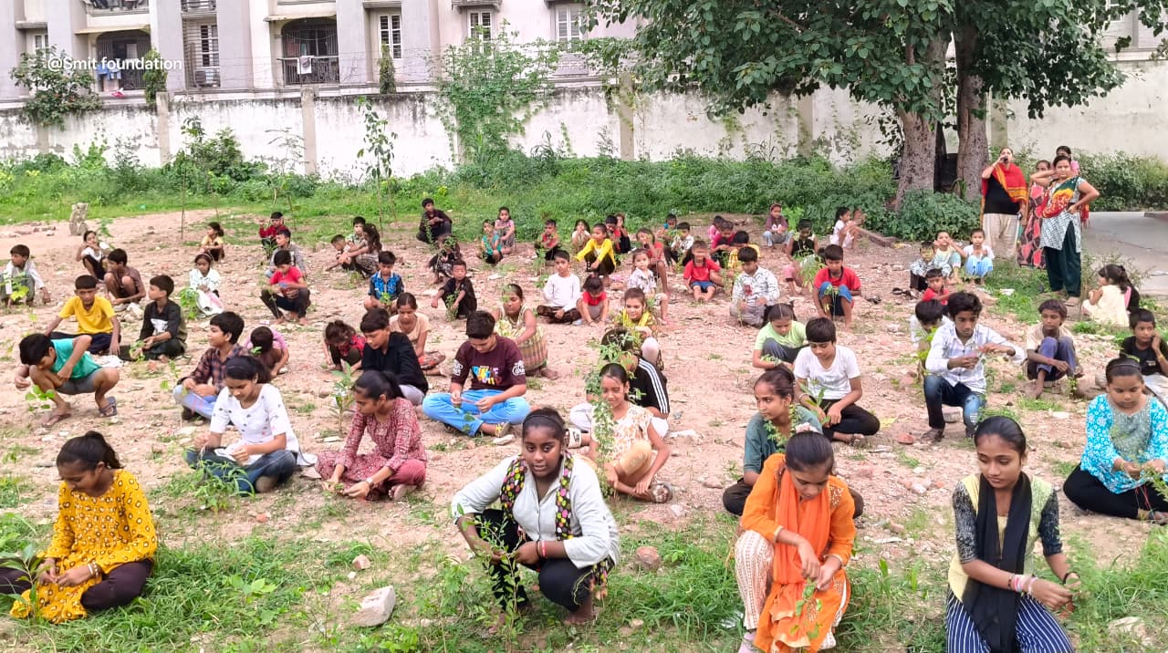 Watering saplings